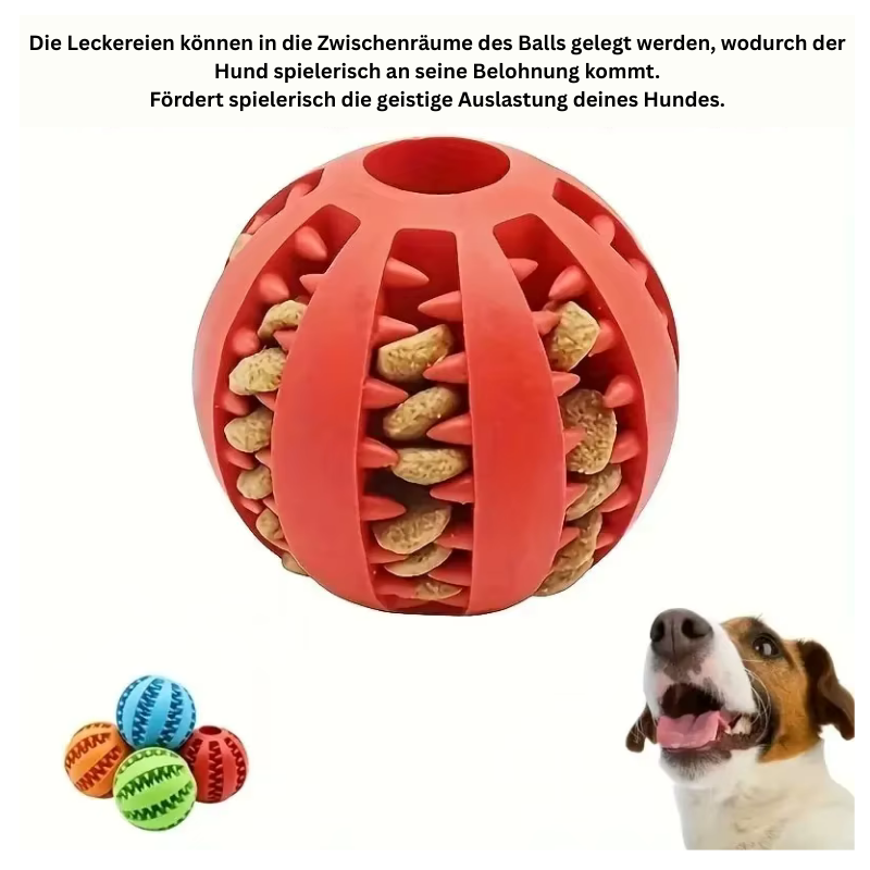 Interaktiver Hundespielzeug-Ball – Spiel, Spaß & Zahnpflege in einem!