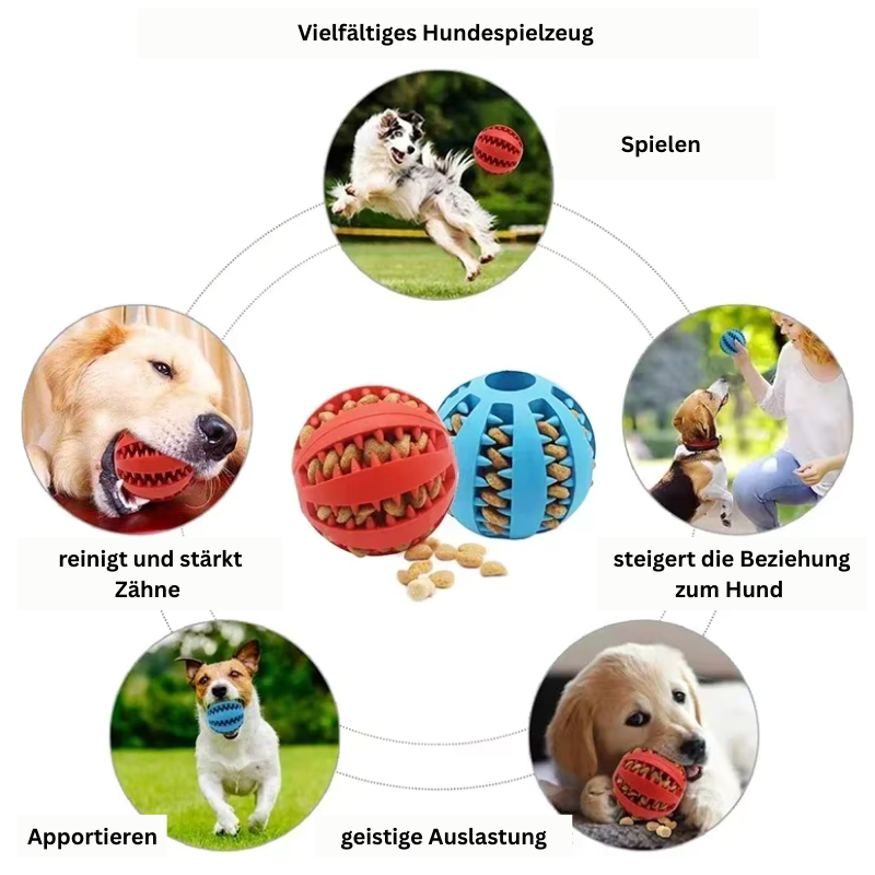 Interaktiver Hundespielzeug-Ball – Spiel, Spaß & Zahnpflege in einem!