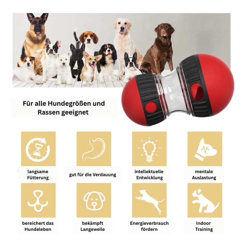 Interaktives Hundespielzeug – Fördert Geschicklichkeit, langsames Fressen & Intelligenz